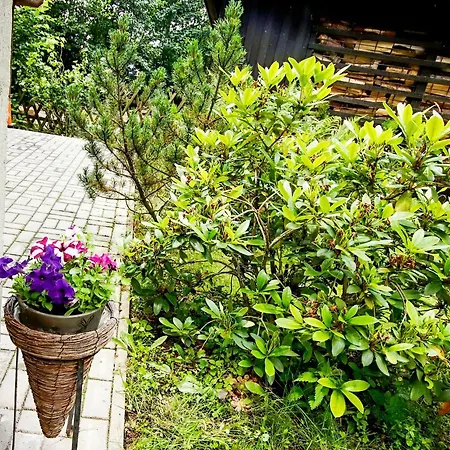 Chaloupka žďárky Casa vacanze Zdarky