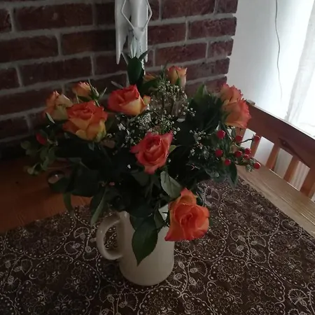 Chaloupka žďárky Zdarky