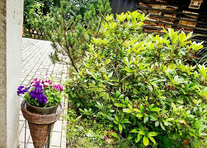 Chaloupka Nyaraló Zdarky